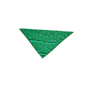 Dino bandana